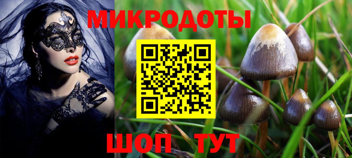 Галлюциногенные грибы Magic Shrooms Сертолово