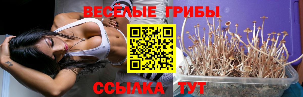 Псилоцибиновые грибы ЛСД  Галлюциногенные грибы Psilocybine cubensis  Вход с VPN  Сертолово 